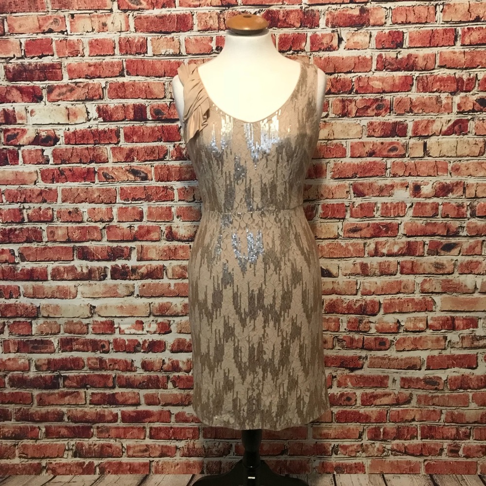 Antonio Melani Champagne Lace Sequin Dress